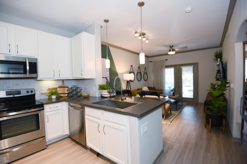 Kitchen looking into the living room
